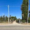 TRANI – VIA DUCHESSA D’ANDRIA, TERRENO AGRICOLO IN VENDITA
